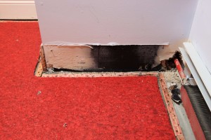 WSS_Water_Security_System_WoodFloor_Mould